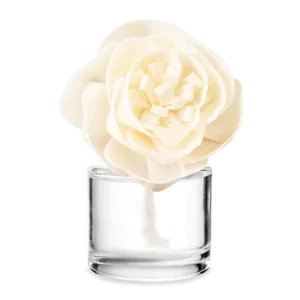 Berry Sweet - Buttercup Belle Fragrance Flower