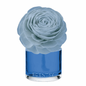 Coastal Rain Cove – Prim Posy Fragrance Flower