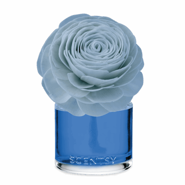Coastal Rain Cove – Prim Posy Fragrance Flower